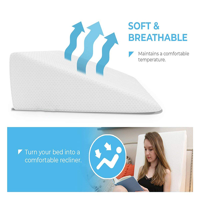 bed pillow