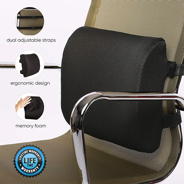 Car Lumbar Back