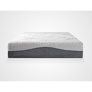 CPS 2020 ECO New Style Gel Memory Foam Mattress