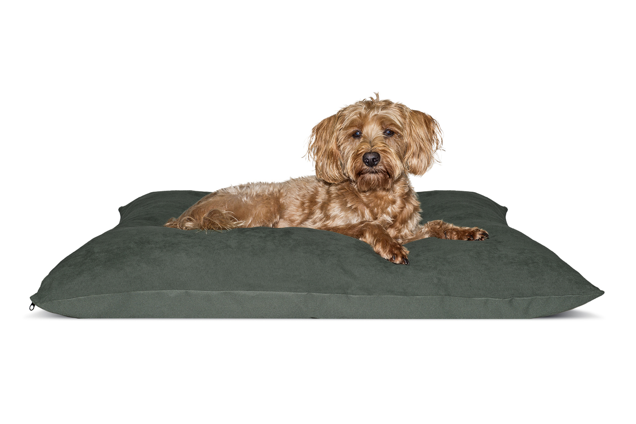 Memory foam pet bed