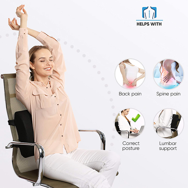 Car Lumbar Back